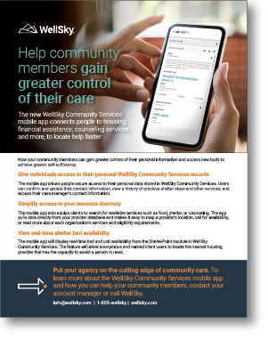 Mobile app executive overview